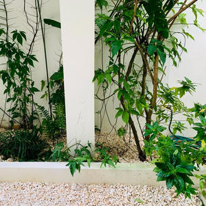 Bad Touch Flip (feat. Vizcor) (Explicit)