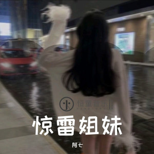 掌中之物 (DJ版)