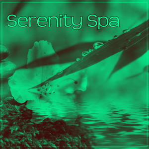 Sounds for Chakra Meditation