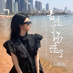 看透了伤透了 (DJ彭锐版)封面