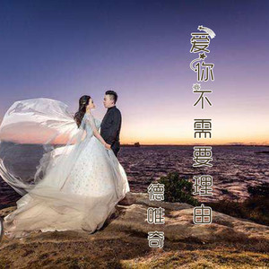 爱你不需要理由 - 德唯奇封面
