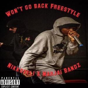 Wont Go Back Freestyle (Explicit)