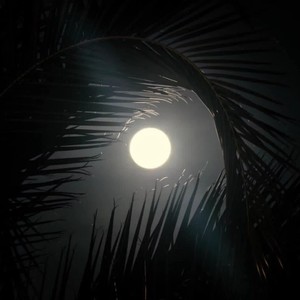 下雨天
