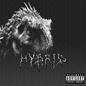 Hybrid (Explicit)