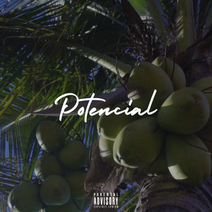 Potencial (Explicit)