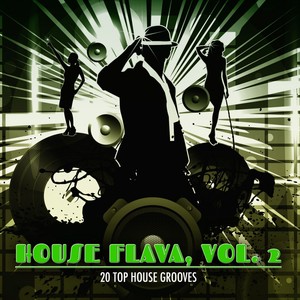 House Flava, Vol. 2 (20 Top House Grooves)