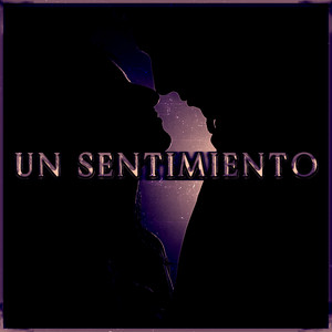 Un Sentimiento