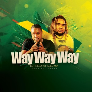 Way Way Way (feat. Alez Mix)