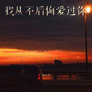 我从不后悔爱过你