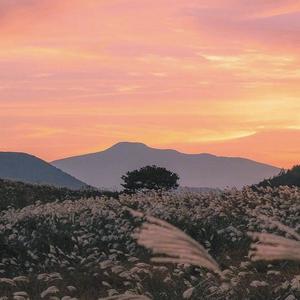 想把你留在济南《渤海眼发现济南美》