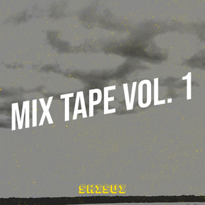 Mix Tape, Vol. 1 (Explicit)