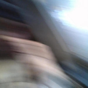 Backwood Chronicles (feat. Ykgxskee & Br3vxn) (Explicit)