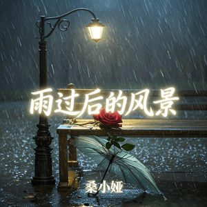 雨过后的风景