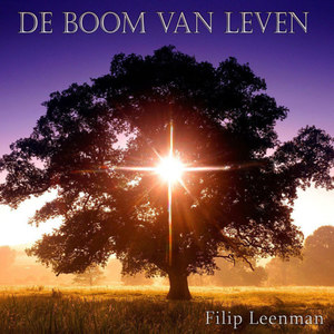 Boom Van Leven