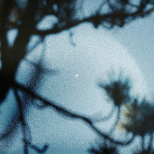 one more night (extended)