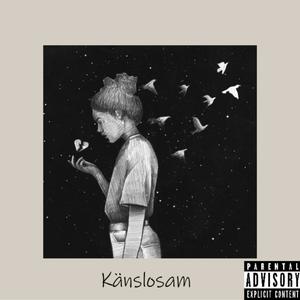 Känslosam (Explicit)