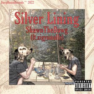 Silver Lining (feat. zigysmallz) [Explicit]