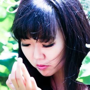 粘人的猫（Cover 小瑶宝）封面
