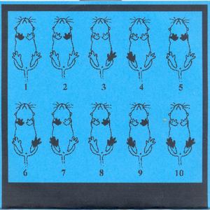 A Radical Disillusionment Brings a Calm Mind