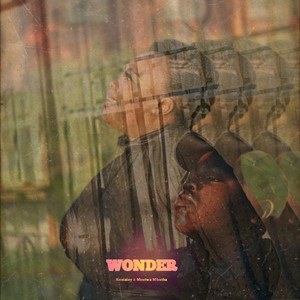 Wonder