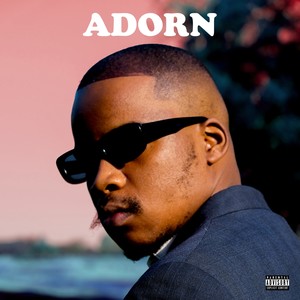 Adorn (feat. Chrxs James) [Explicit]