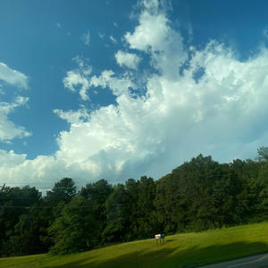 Scats in tracks (feat. Ant3x) (Explicit)