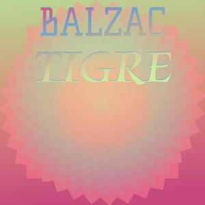 Balzac Tigre