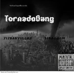 Tornado Gang (feat. 717 BabySlime & Libaggum) (Explicit)
