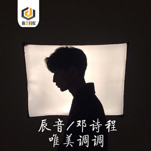 我从未放弃过爱你