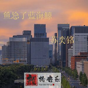 Can We Kiss Forever (治愈纯音乐)