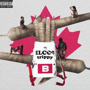 SHADY B!TCH (feat. elcoo) [Explicit]