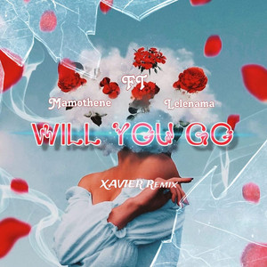 Will You Go? (XAVIER Remix)