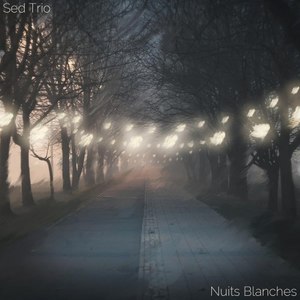 Nuits Blanches