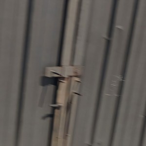 free from out the cell (Remix)