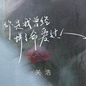 你是我曾经拼了命爱过的人 (伴奏)