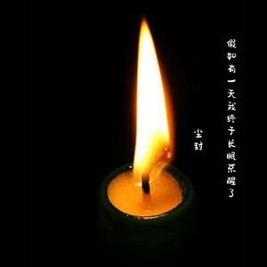 假如有一天我终于长眠不醒了