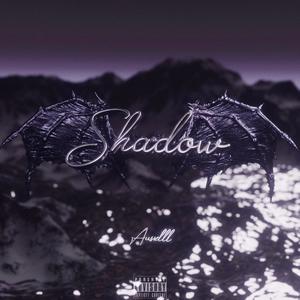 Shadow (Sorry Sorry)