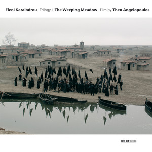 Karaindrou: The Weeping Meadow - Film by Theo Angelopoulos (哭泣的绿地)