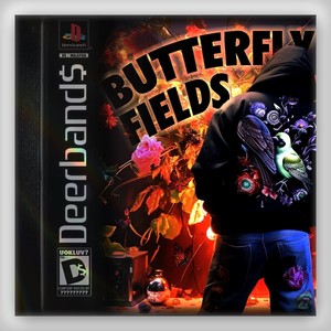 Butterfly Fields (Explicit)