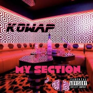 My Section (Explicit)