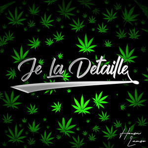 Je la détaille (Explicit)