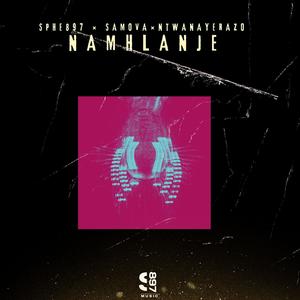 Namhlanje (feat. Samova & NtwanaYeRazo)