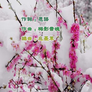 梅影雪魂