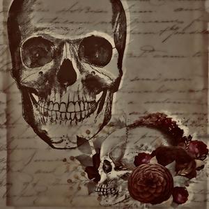 CELINA TESTED (Explicit)