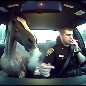 ANYWAY (feat. ThatBoyFrizzy) (Explicit)