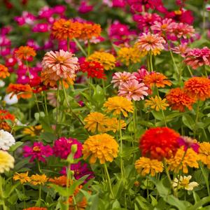 Better Days (Explicit)