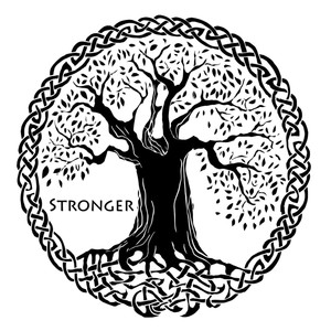Stronger (feat. Wakane)