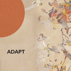 Adapt