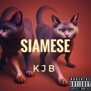 siamese (Explicit)