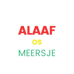Alaaf os Meersje (Dj Michel Remix)